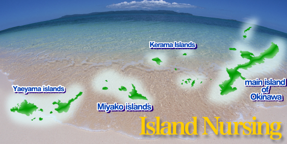 ���׊Ō�̍��x���H�w���҂̈琬